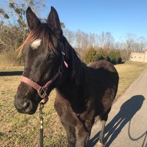 10% off bundles of 2 or more!